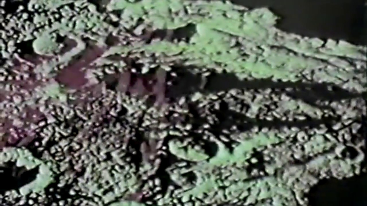 Oscar.Mike - Yoyeur [Nightime Drama]