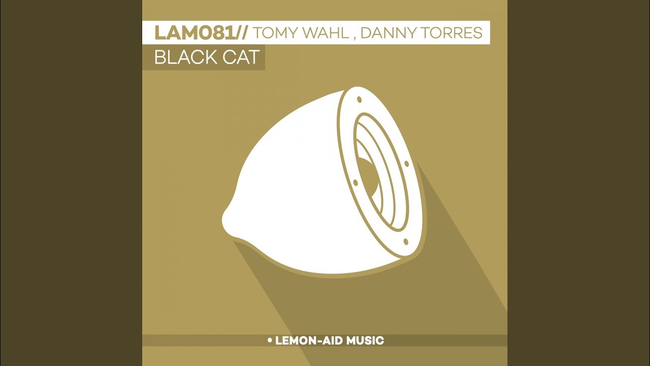 Black Cat (Original Mix)