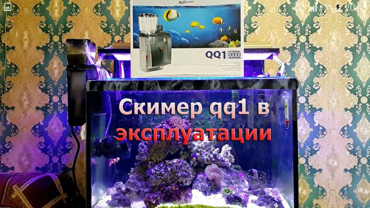 Скимер qq1 в эксплуатации