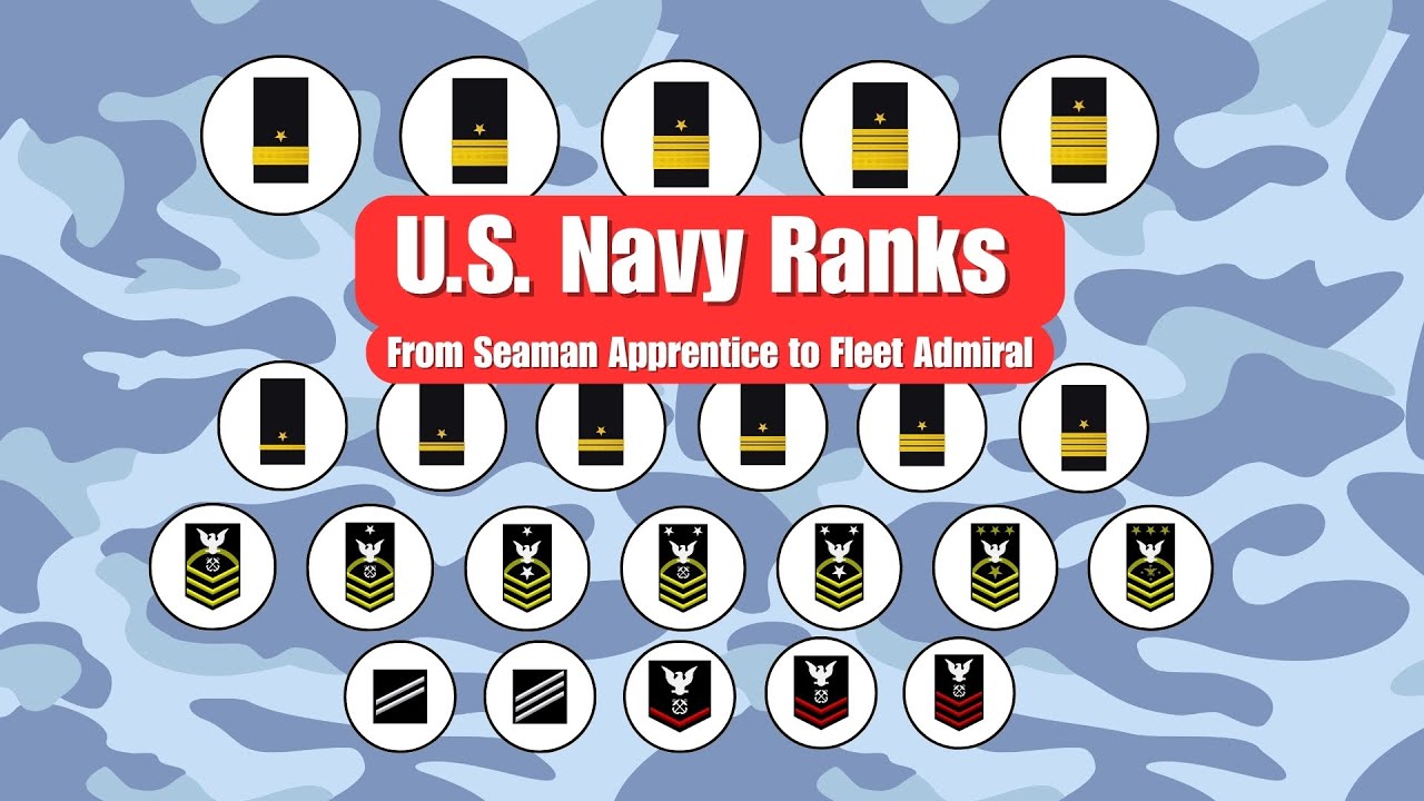 U.S. Navy Ranks Explained: From Seaman Apprentice to Fleet Admiral