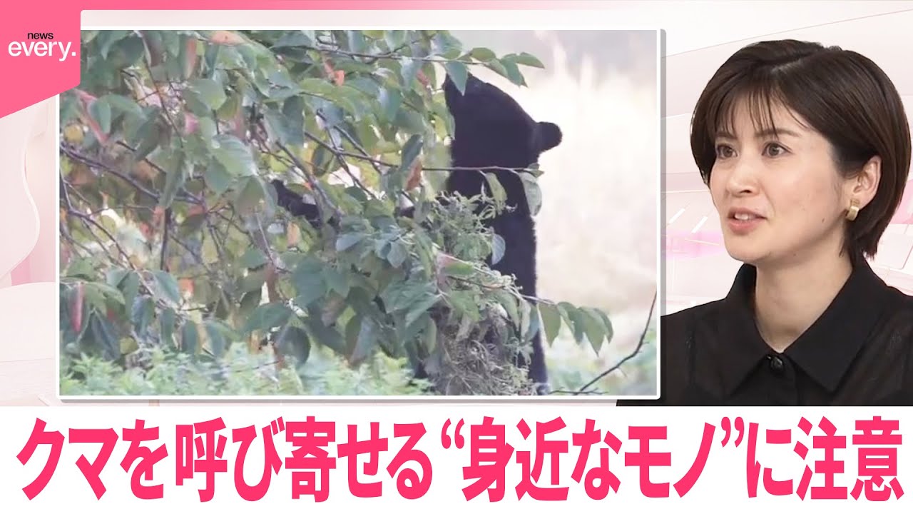 【なるほどッ！】クマを呼び寄せる“身近なモノ”に注意  対策は？