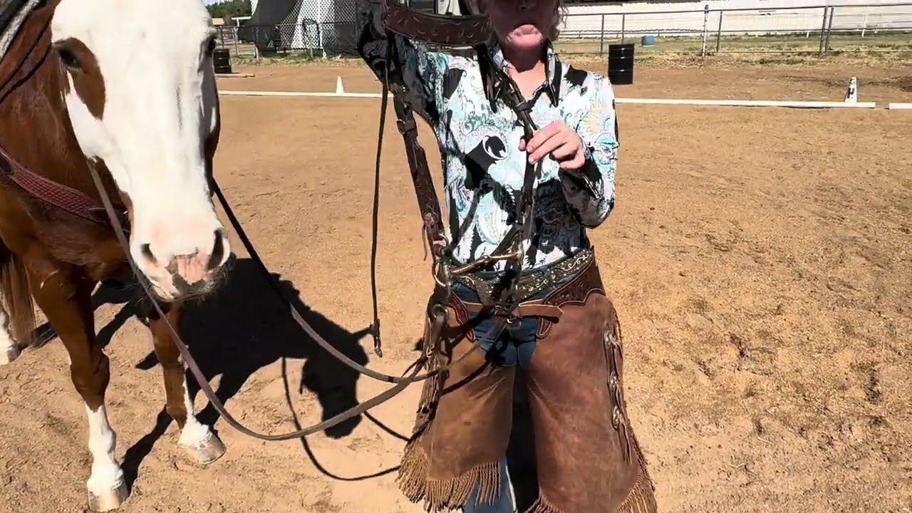 WDAAZ Heart My Horse-Winter Show Entry# 6364, Celebrity Apprentice BT1-A