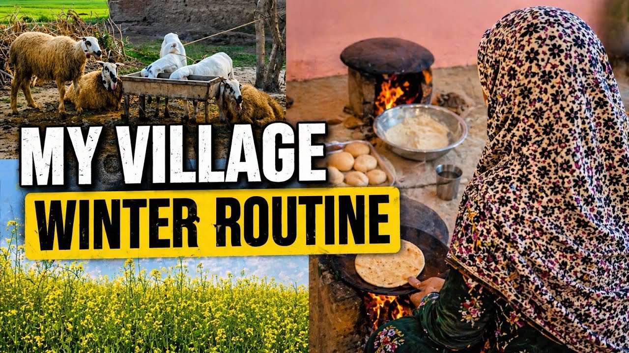 A Calm Family Routine in Village | Pakistani Gaon Life | My Desi Village in Winters Vlog