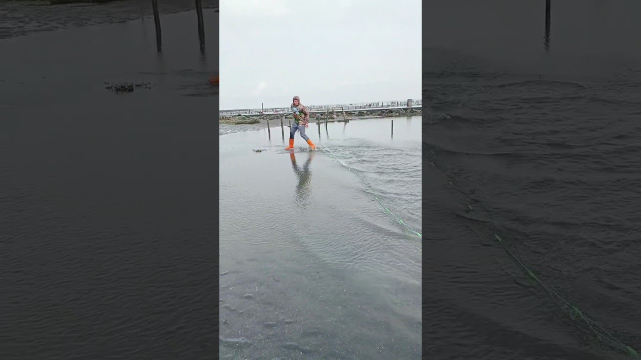 Amazing Net Fishing #amazing #fishing #cambodia