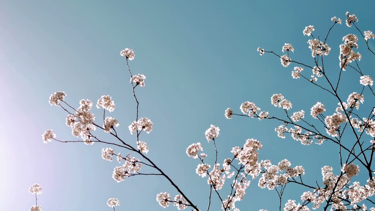 Cinder Flo | Clouds over Tokyo