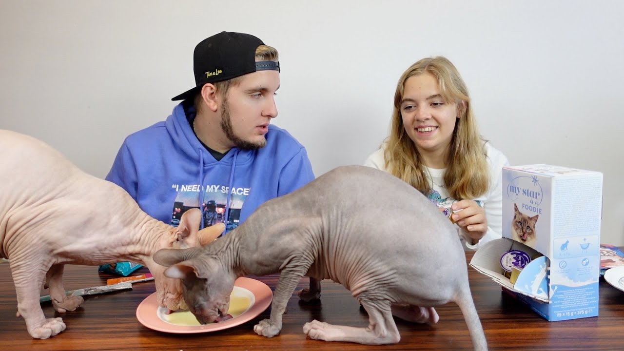 Otesánek Maxík - Co všechno Sphynx kočka sežere