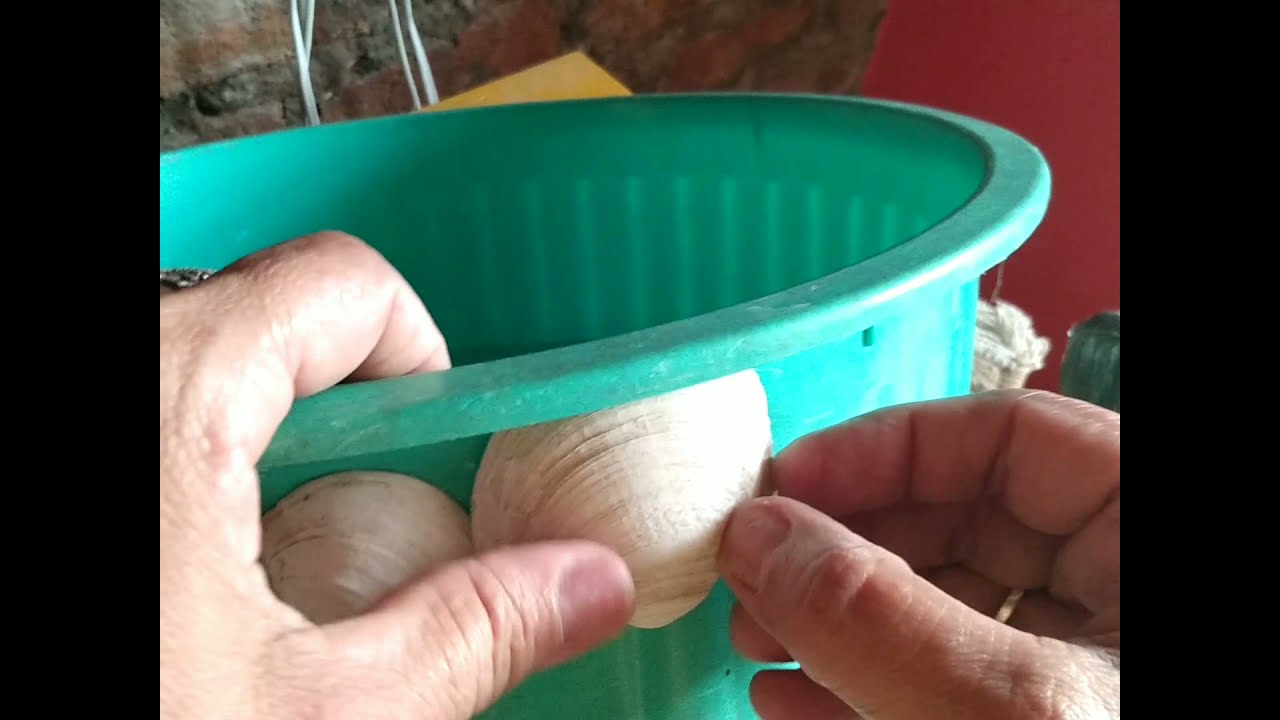 Aproveitei a minha bacia para fazer uma fonte de água.