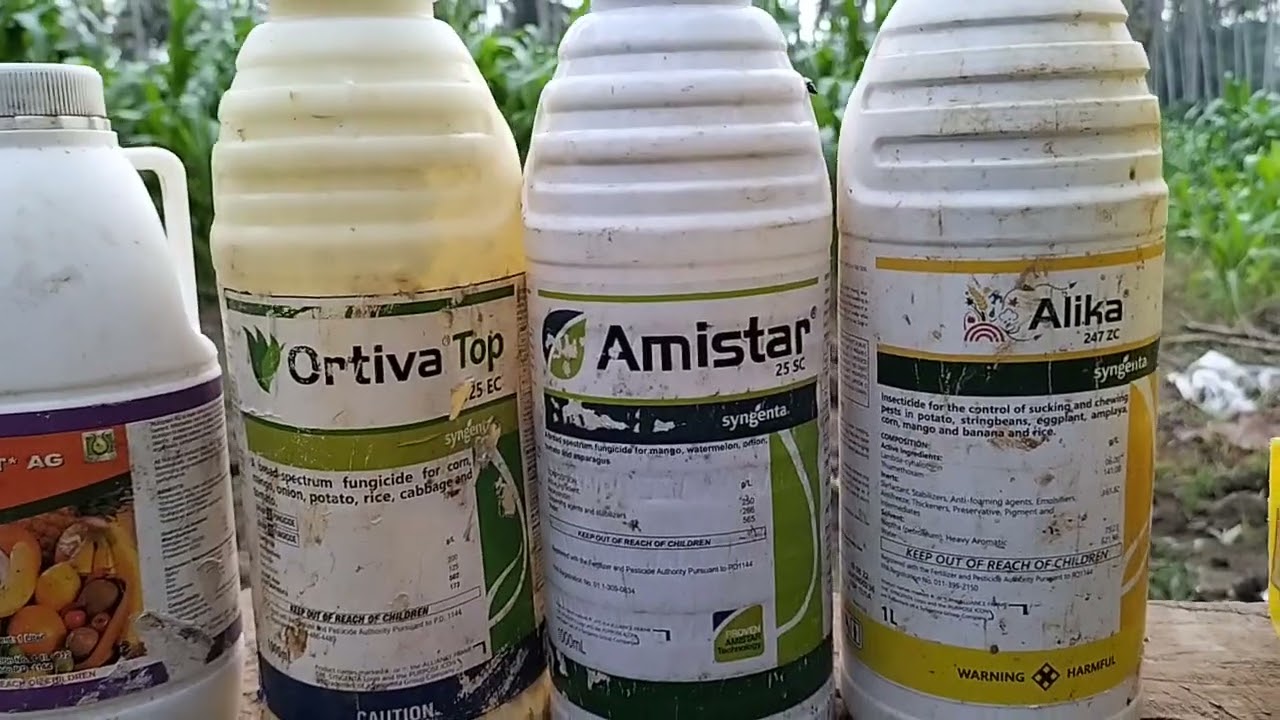 Alamin natin ang tamang paggamit Ng mga scientitic na insecticide fungicide at foliar mga ka farmers