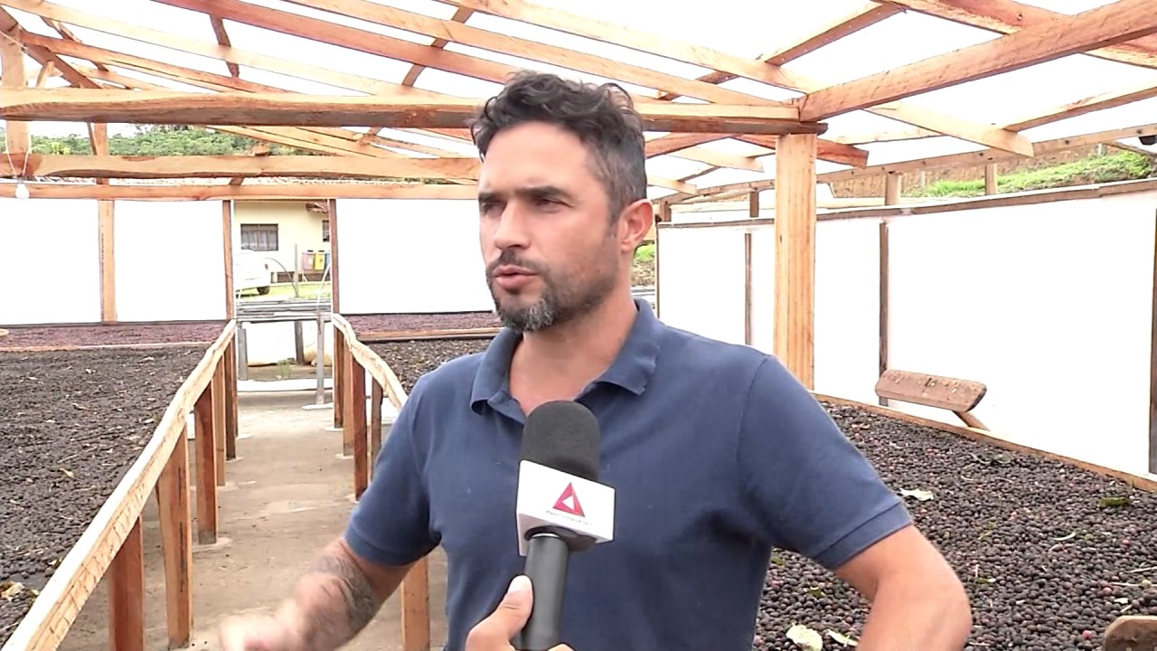 Café produzido em Caparao é considerado referência de qualidade nacional