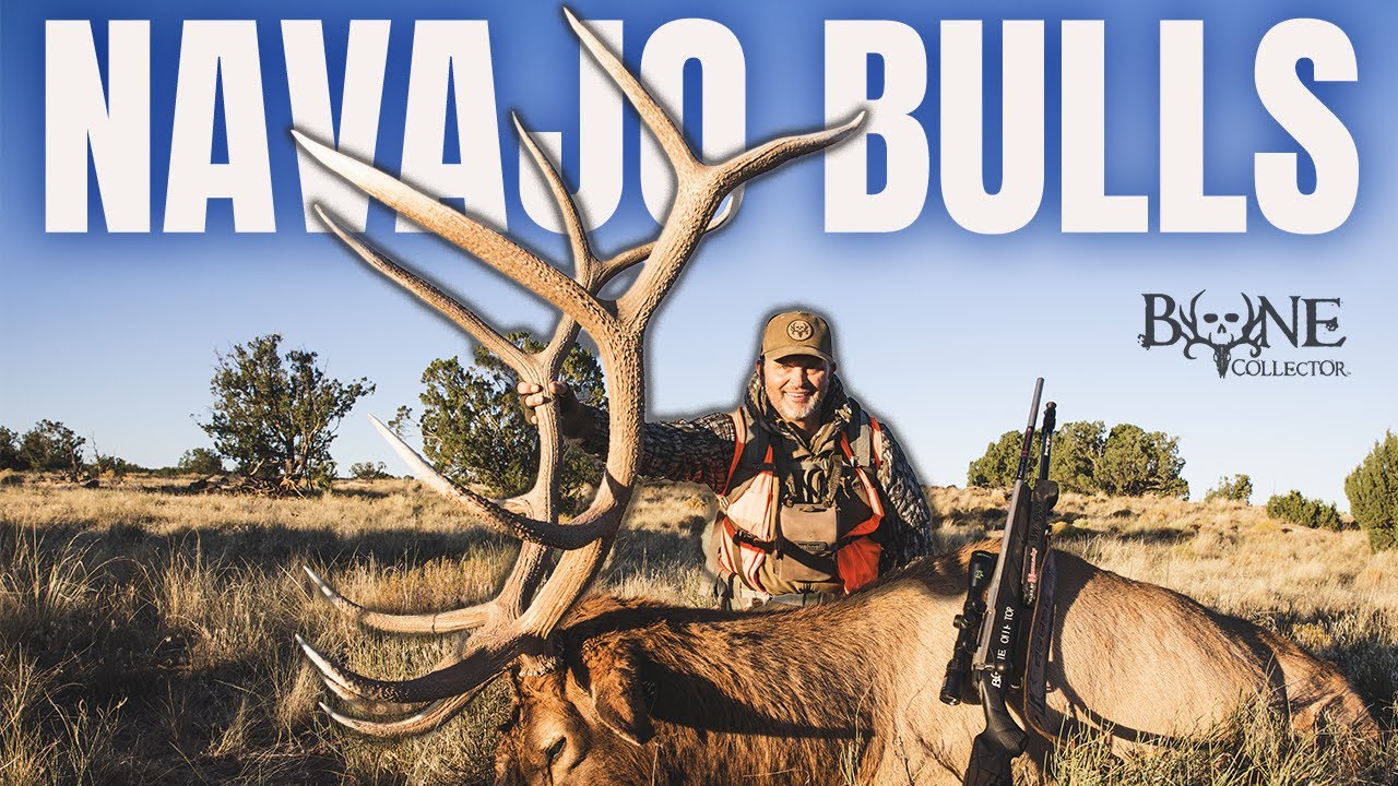 Massive Bulls and Navajo Youth! 