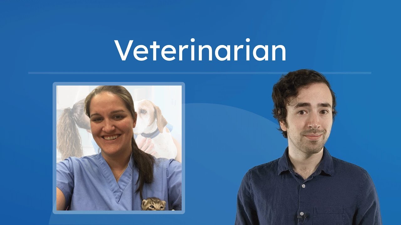 Veterinarian - Animal Care Careers for Middle & High Schoolers