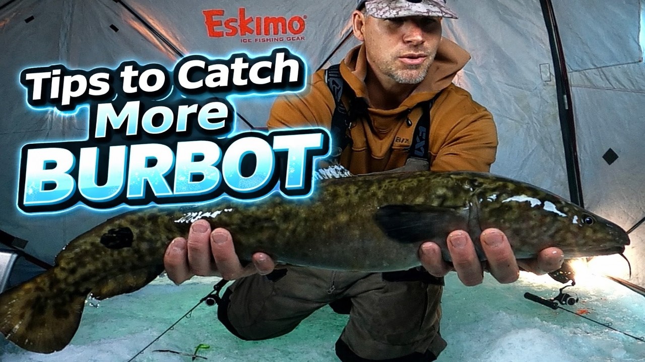Locate MORE Burbot W/ WORLD-RECORD Holder!