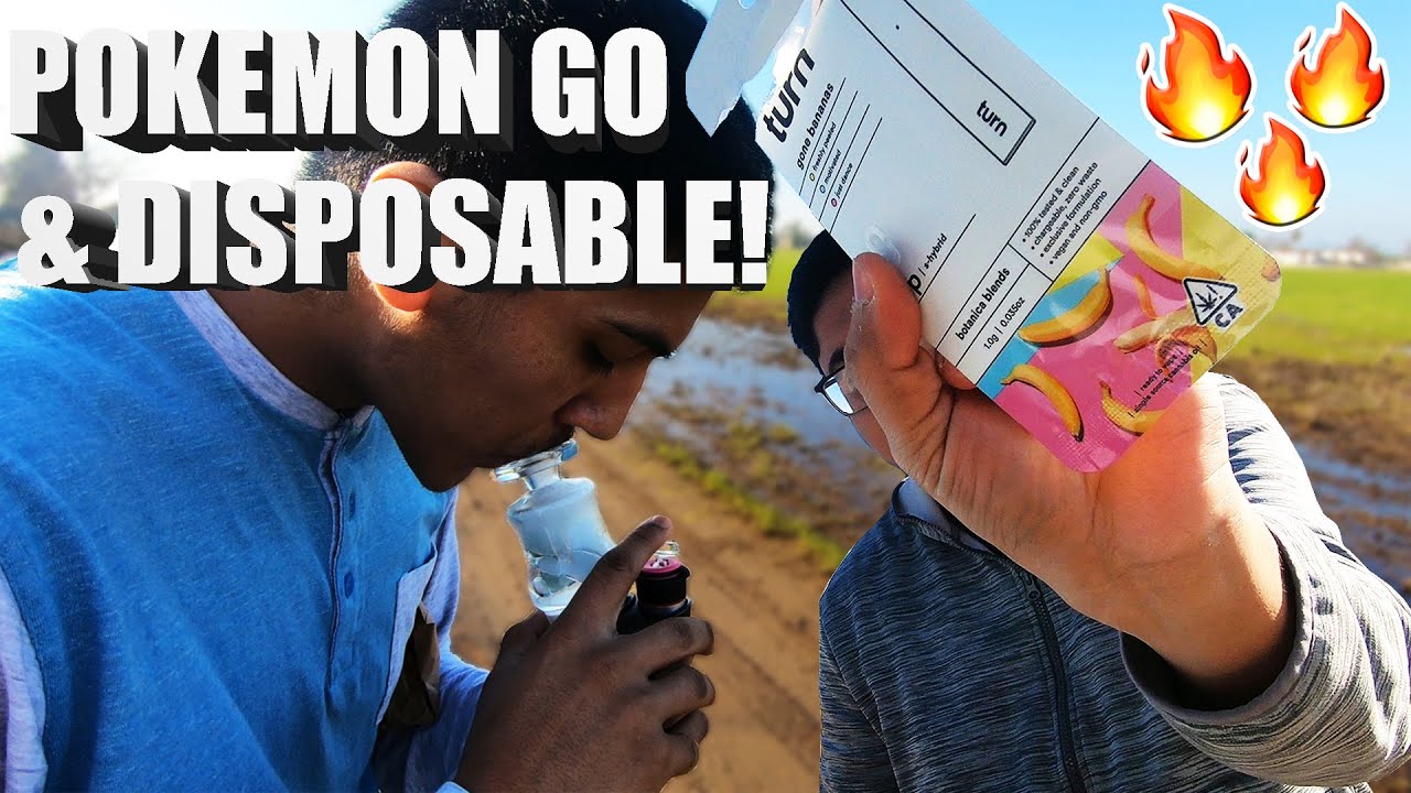 STONED TO THE DOME WHILE PLAYING POK&Eacute;MON GO! | Cheap Cart & Dab REVIEW!