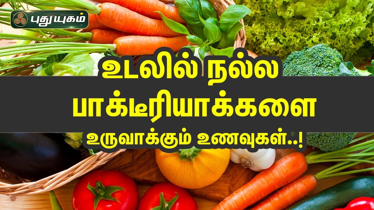 உடலில் நல்ல பாக்டீரியாக்களை உருவாக்கும் உணவுகள்..! Dr.M.S.UshaNandhini | Morning Cafe