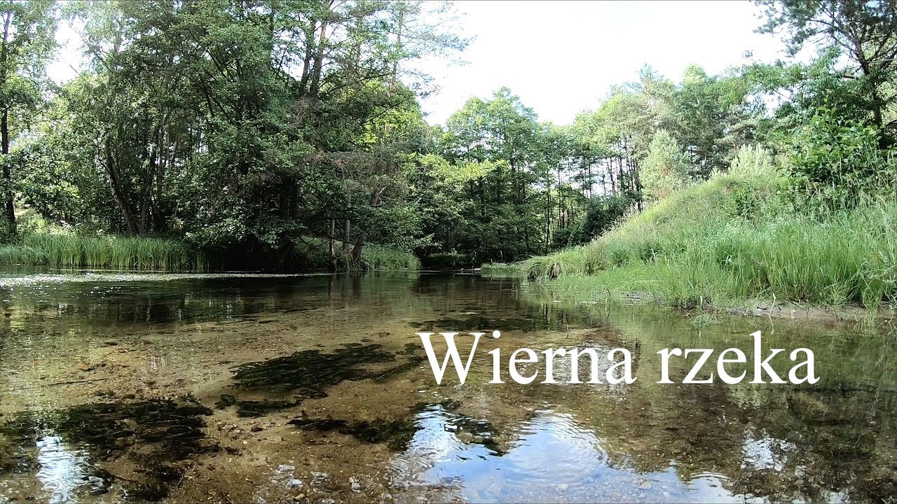 Wierna rzeka. My favourite river