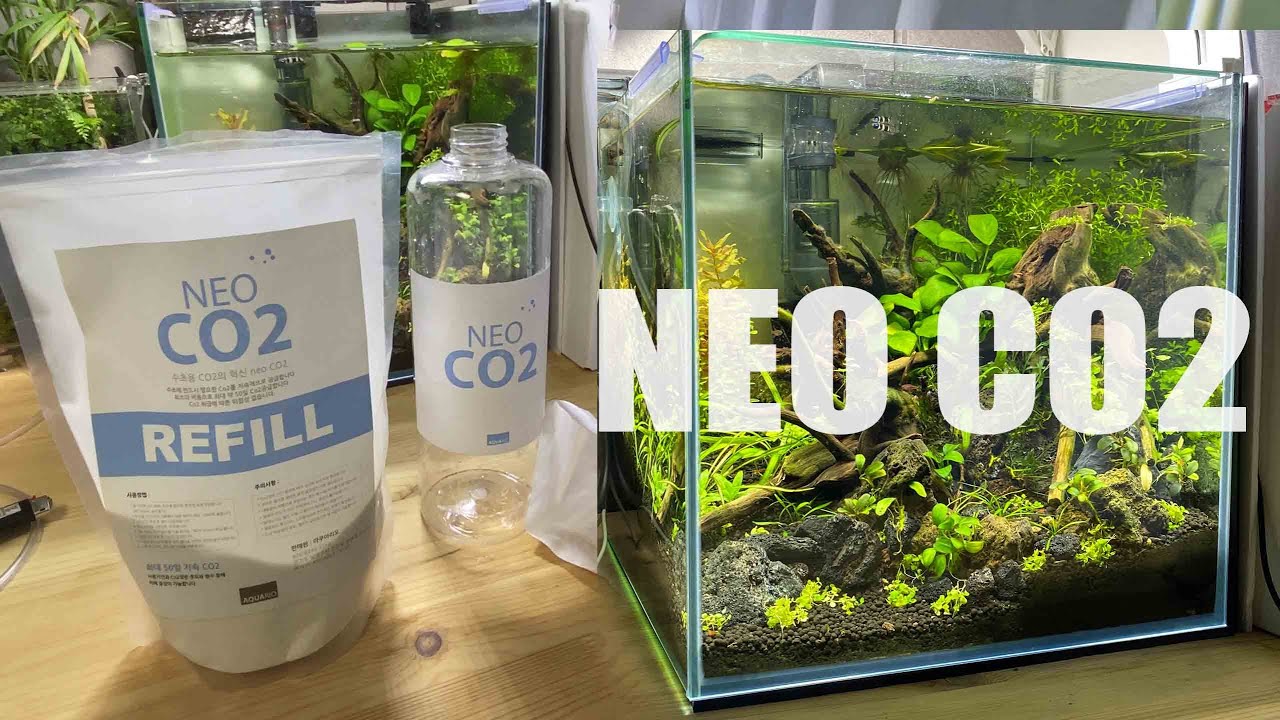 수초 건강하게 키우기 | 간단히 이산화탄소 넣기! | 네오CO2 리필 사용법 | 자작이탄 만들기