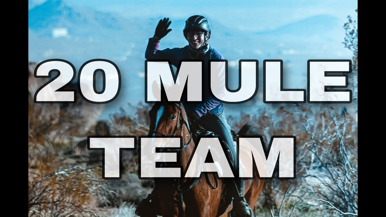 20 Mule Team 100 Mile Ride 2022