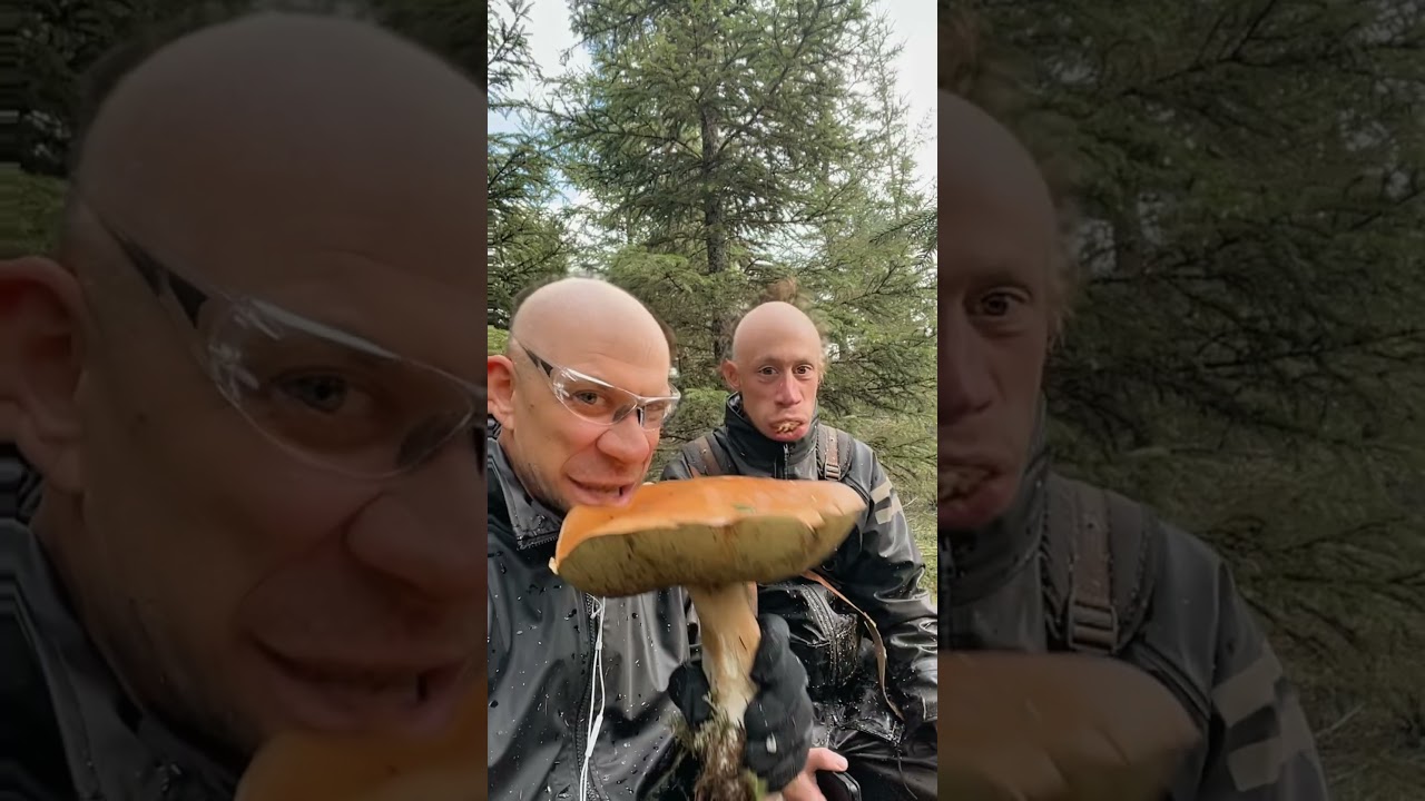 Hengen vaarallista hommoo! Onko hyv&auml;? #onkohyv&auml; #humor #mets&auml; #ty&ouml;  #sieni