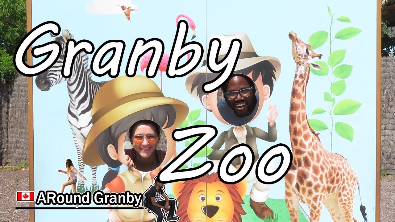 What Can You Do at Granby Zoo? | ARound Granby