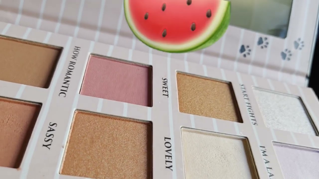 Reviewing a Disney eyeshadow palette 💄🐈