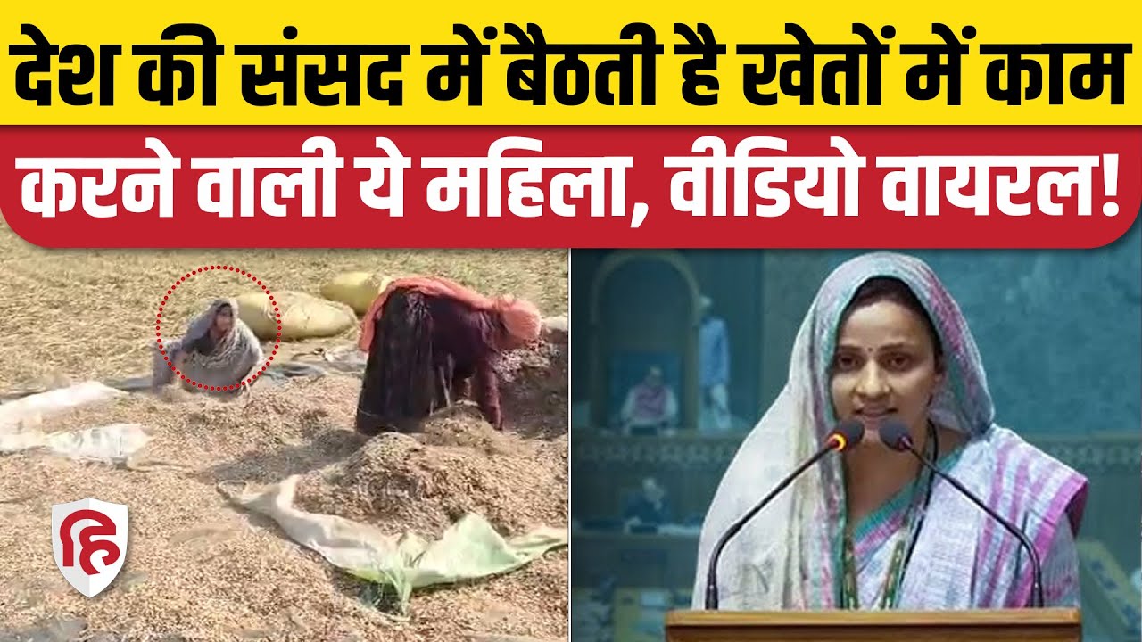 Sanjana Jatav Viral Video: खेत में काम करतीं Bharatpur Congress MP,  लोगों ने सराहा। Rajasthan