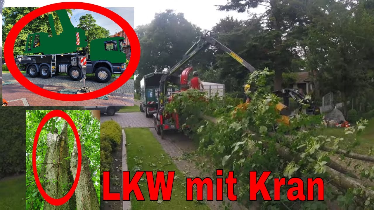 Scania LKW mit Kran - Erster Einsatz | Baumpflege Mertens