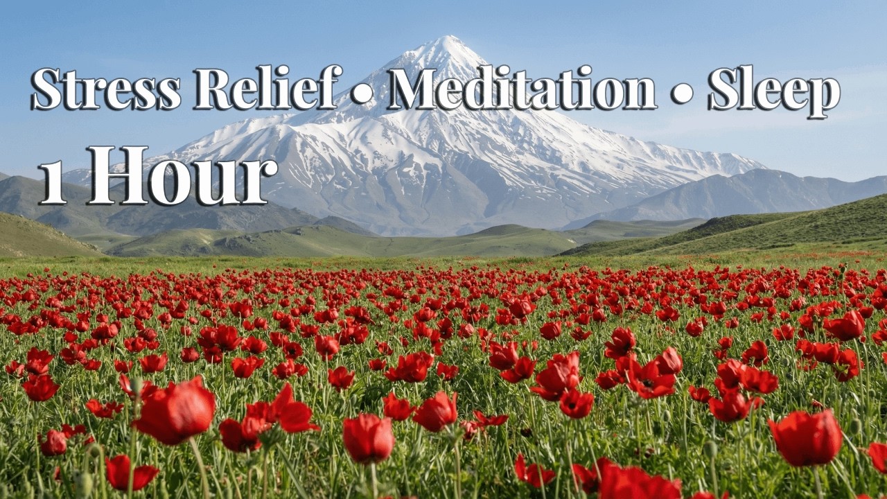 Relaxing Nature Sounds for Sleep & Stress Relief | 1 Hour Peaceful Mountain & Nature Ambience