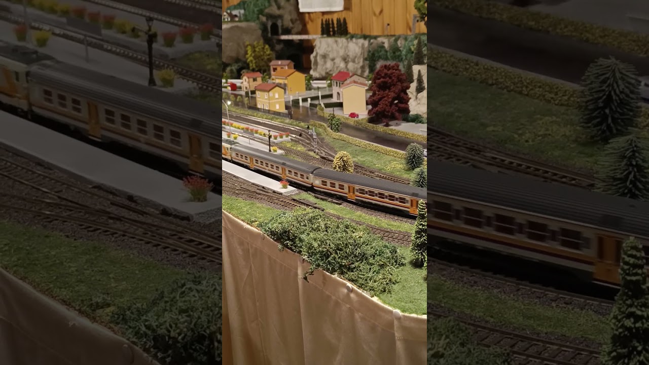 D445 1039 Os.Kar sound con treno regionale navetta - plastico Farra 😀