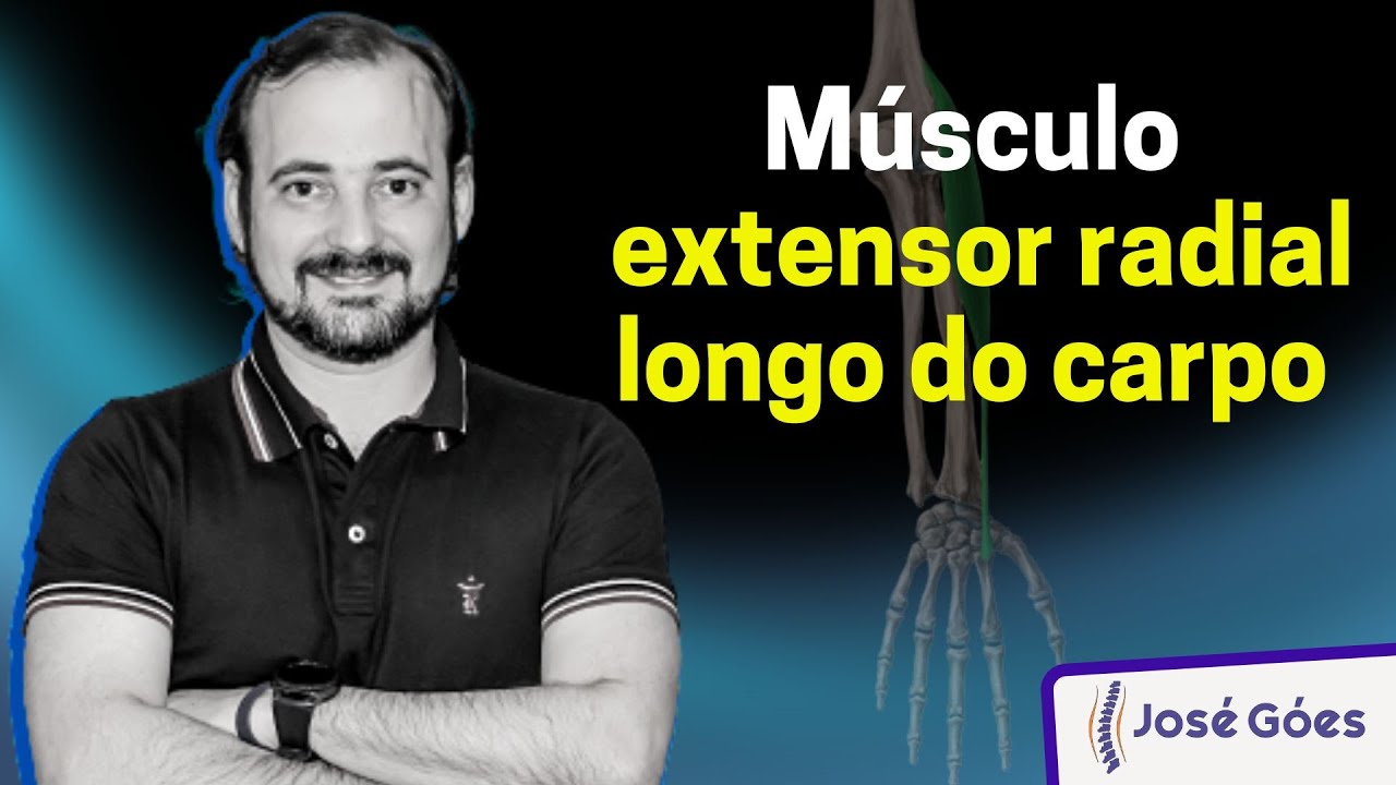 Músculo extensor radial longo do carpo | José Góes