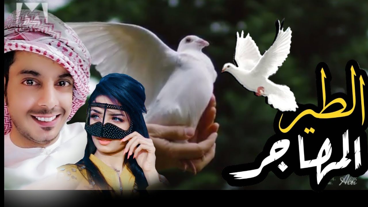 شيلة الطير المهاجر 🦅شيلة حضرمية طربية روووعه كلمات الشاعر طارق المشجري أداء المنشد عبيد باسالمين
