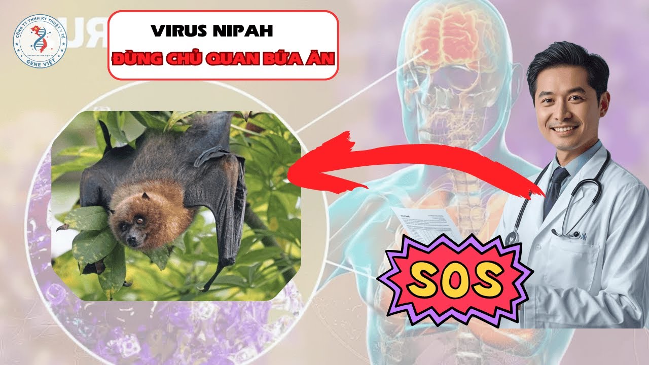 🔴 Ngăn Chặn Virus Nipah Lây Qua Thực Phẩm | Cảnh Báo Y Tế Mới Nhất 2026