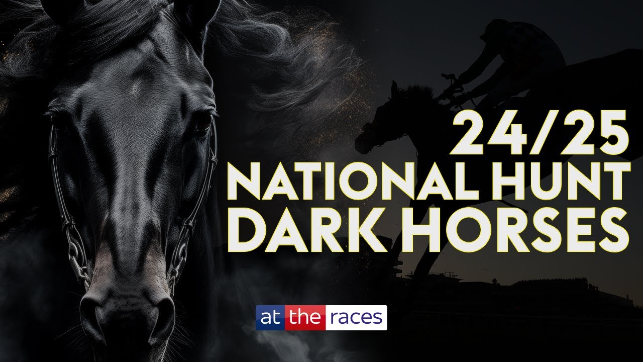 Dark Horses to follow for the 2024/25 Jumps Season!
