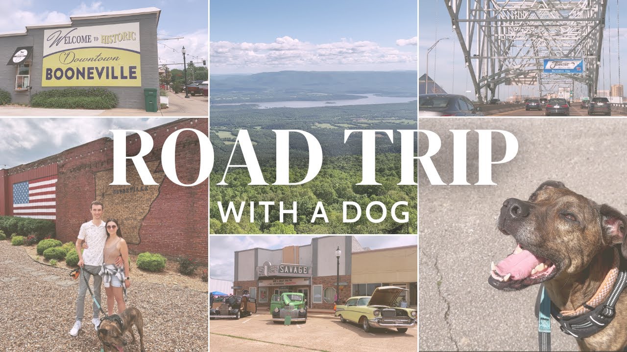 ROADTRIP VLOG! Mt. Magazine State Park, and Booneville, Arkansas 🐶 🛣️