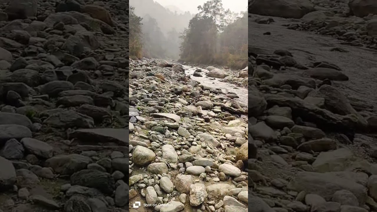 Rishikhola #sikkim #west bengal #like #travel #trending #nature #subscribe #coment #song