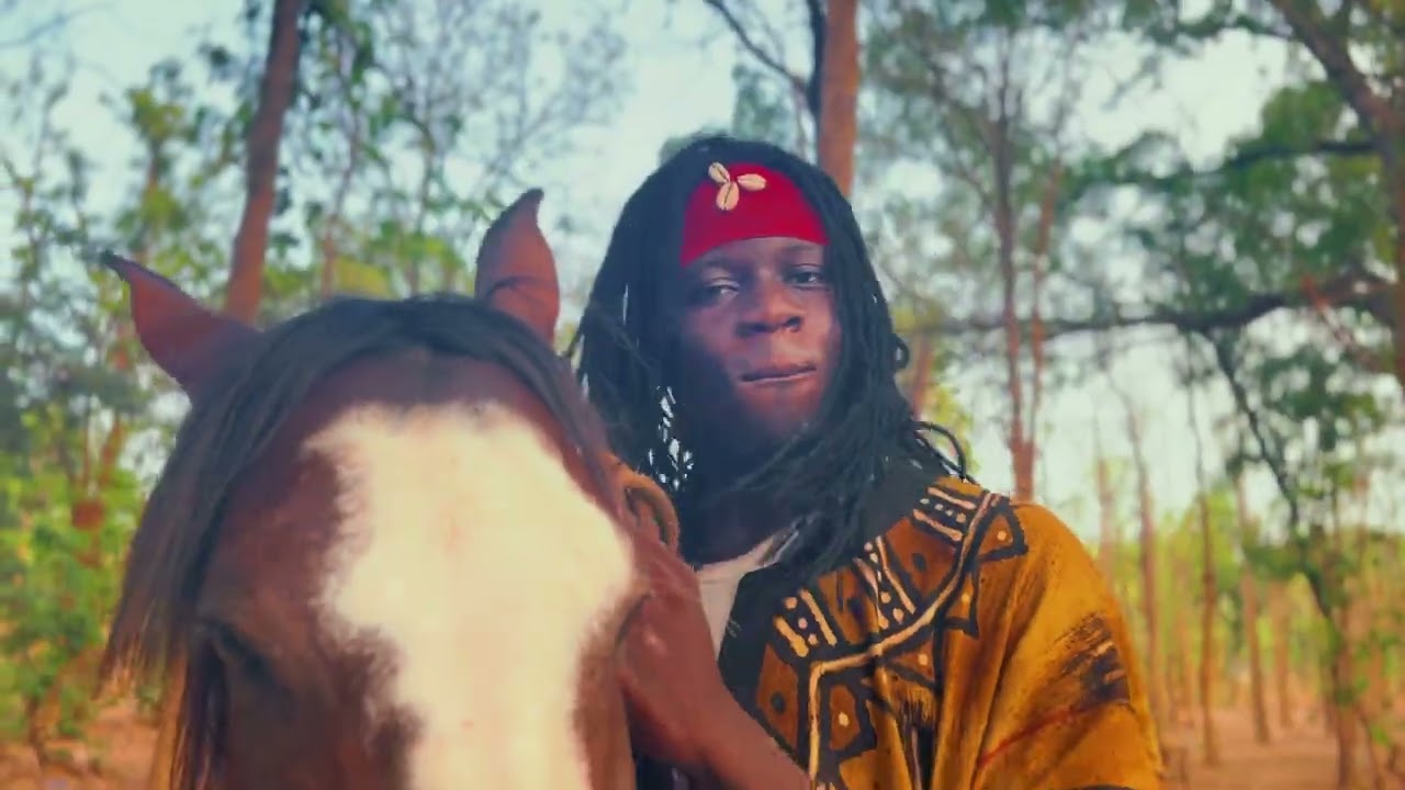 R DRIBA_-_MANDÉ (CLIP)🇨🇬