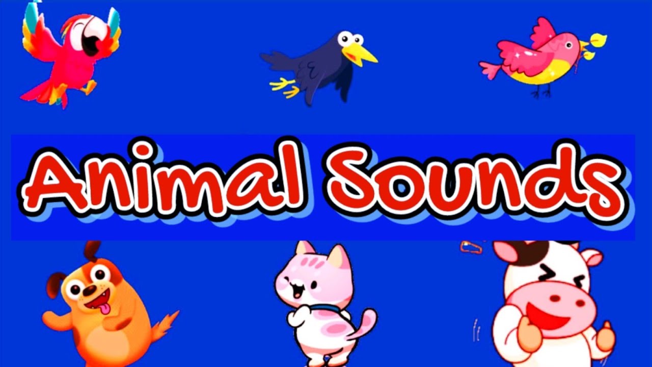 Who Makes That Sound? Cocomomo Animal Sounds