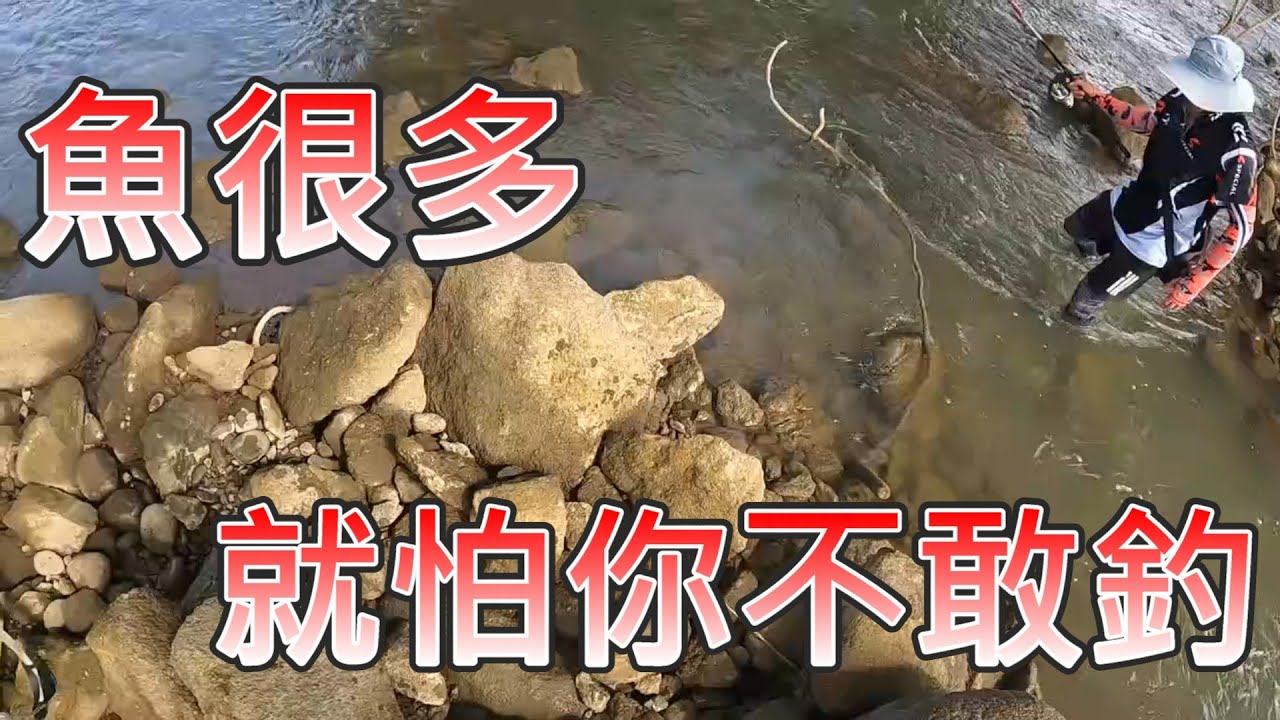 鬼月釣魚人少 這時候踢圈釣魚 處處都沒人 隨便釣都是魚