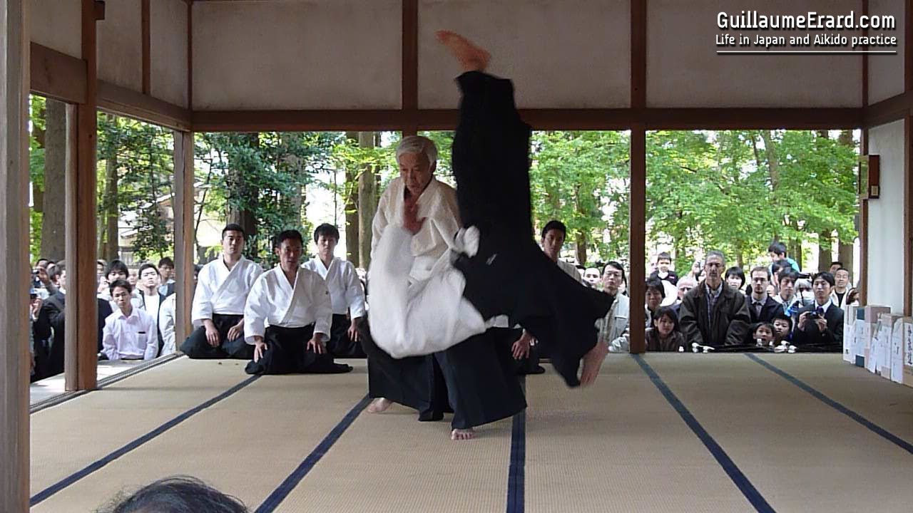 Aikido - Ueshiba Moriteru & Ueshiba Mitsuteru demonstration at the Aikijinja Taisai 2013