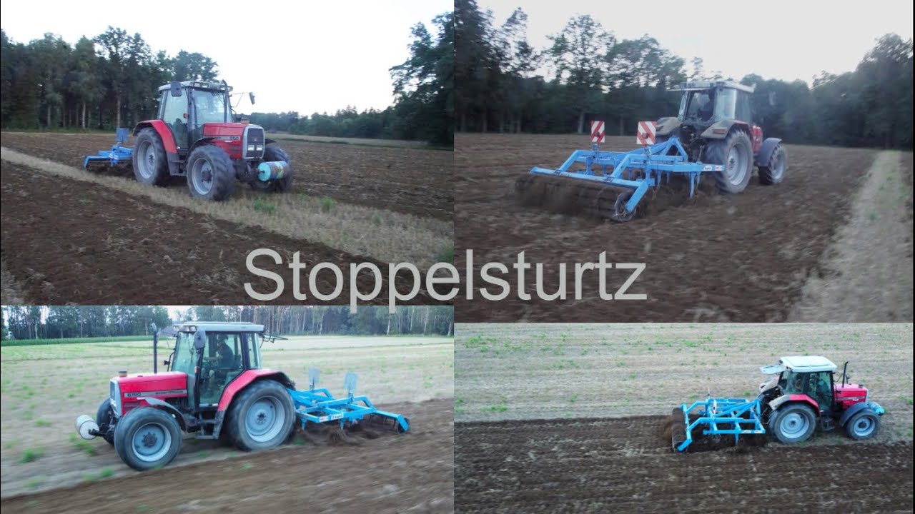 Stoppelsturtz 2023/ massey ferguson 6150/ Grubbern