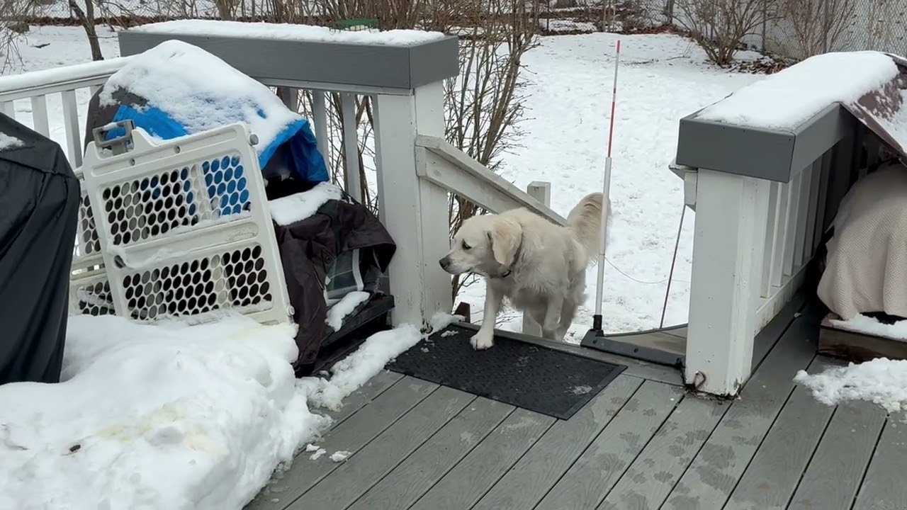 Gracie joins the party