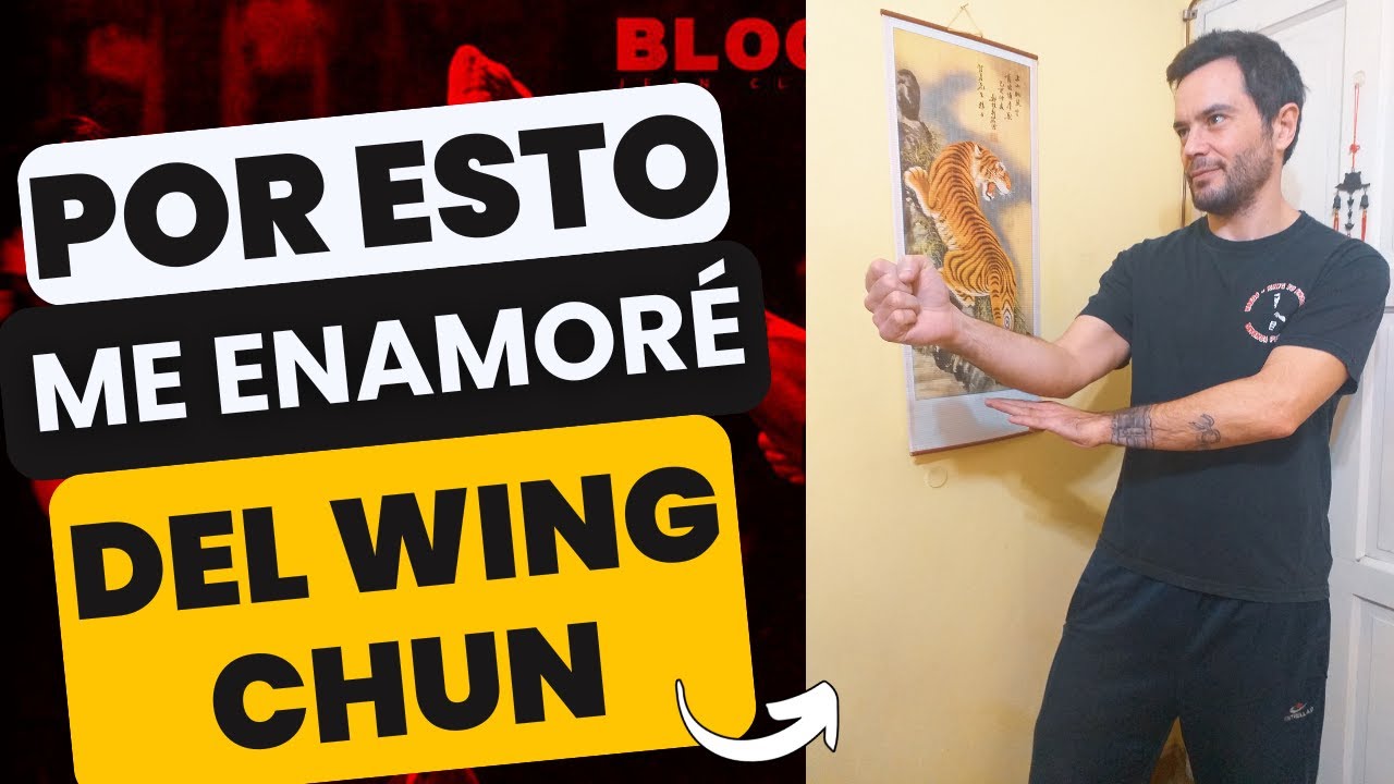 Esto me convenció de aprender Wing Chun (WT)