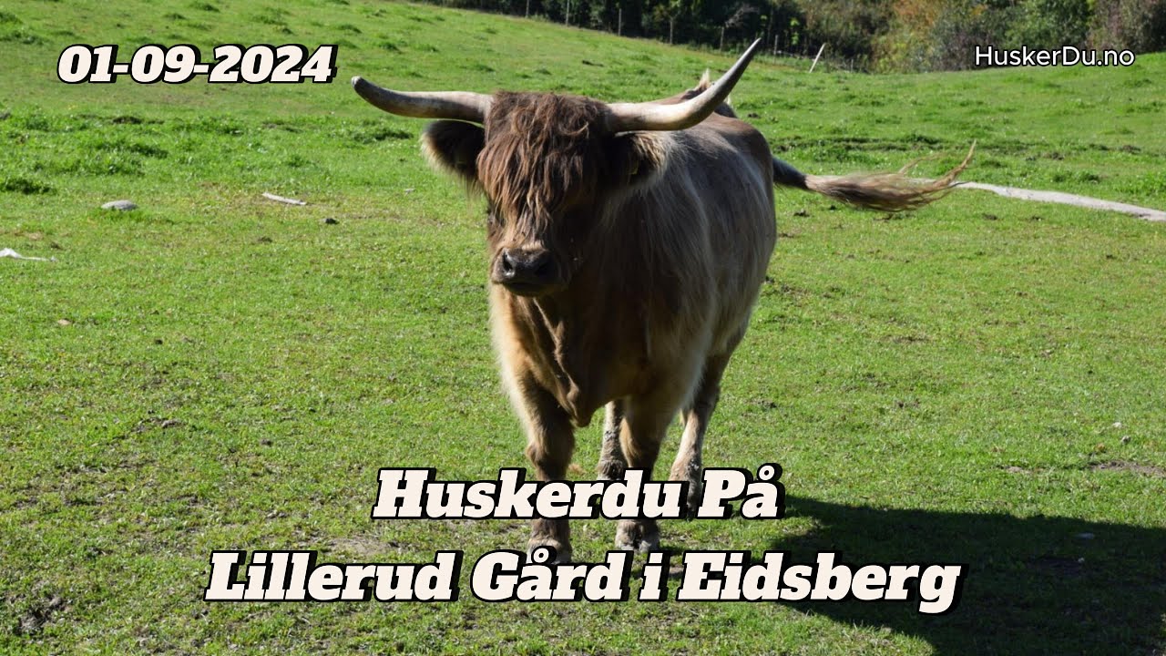 Lillerud gård Eidsberg 2024