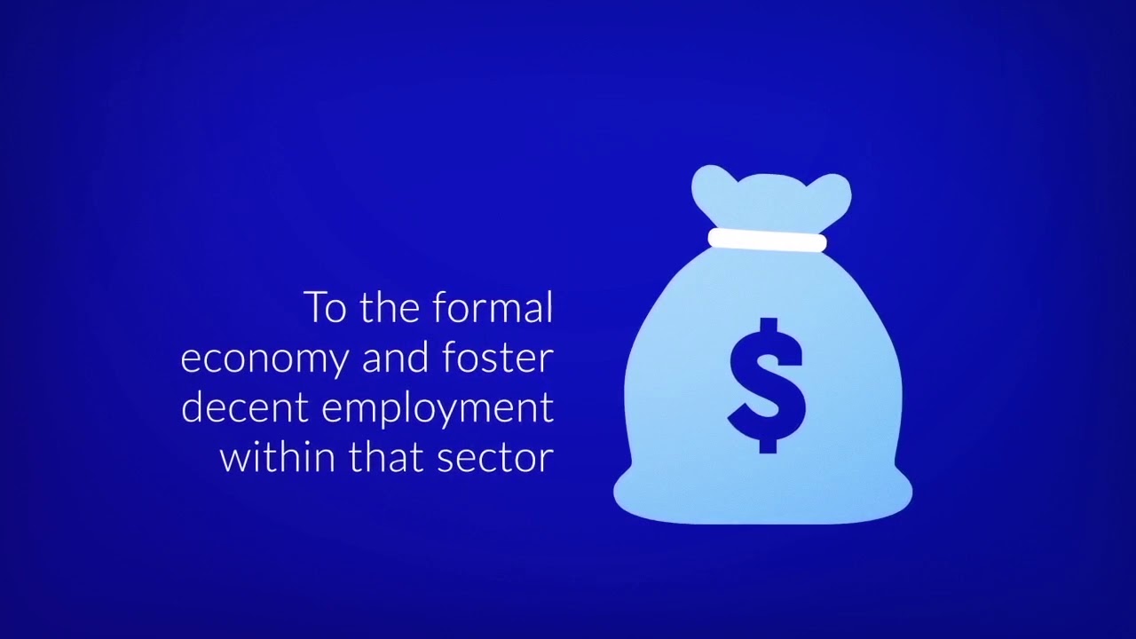 Policies and practices for enterprise formalisation and SME development
