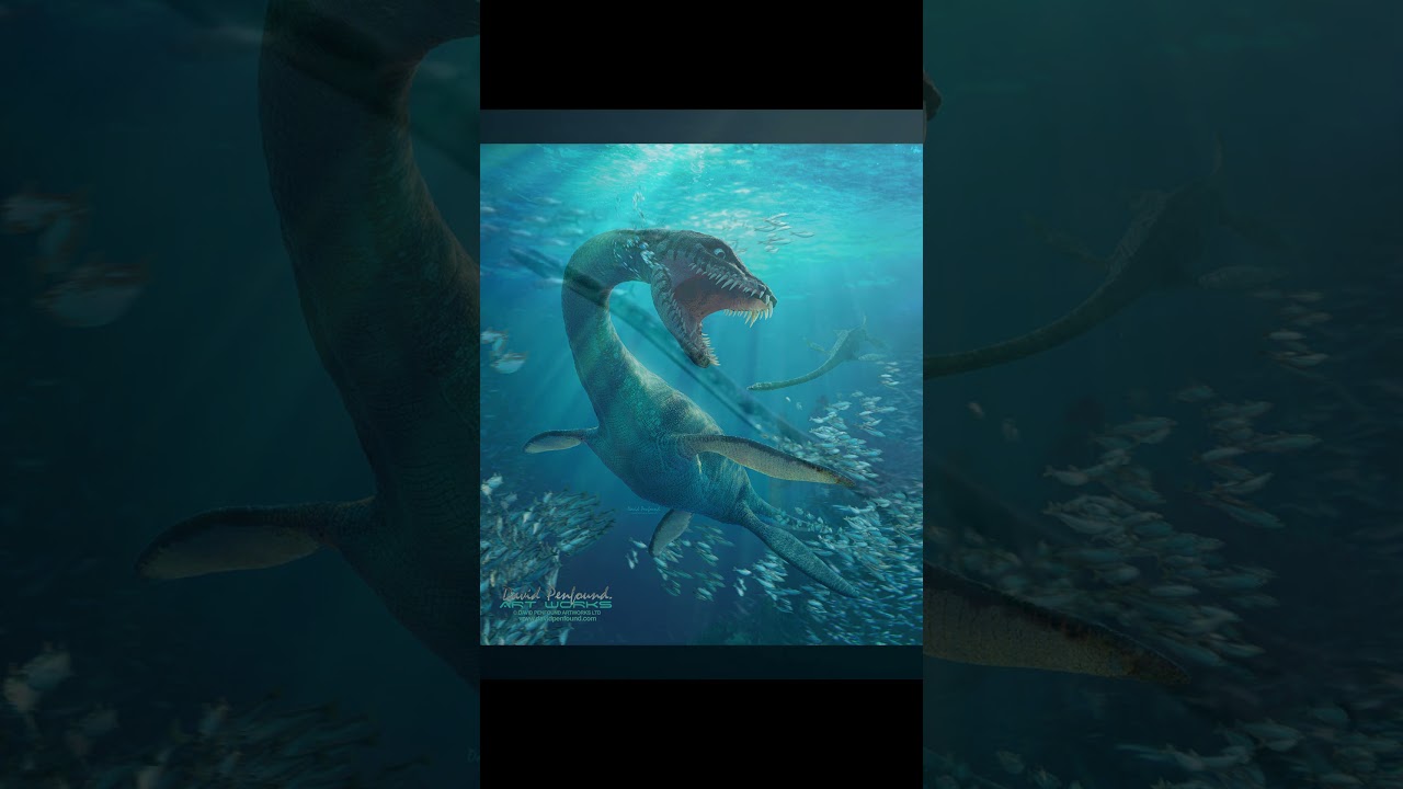 Những sinh vật đ&aacute;ng sợ #daiduong #sinhvatduoibien #Dakosaurus #Thalassomedon #Tylosaurus