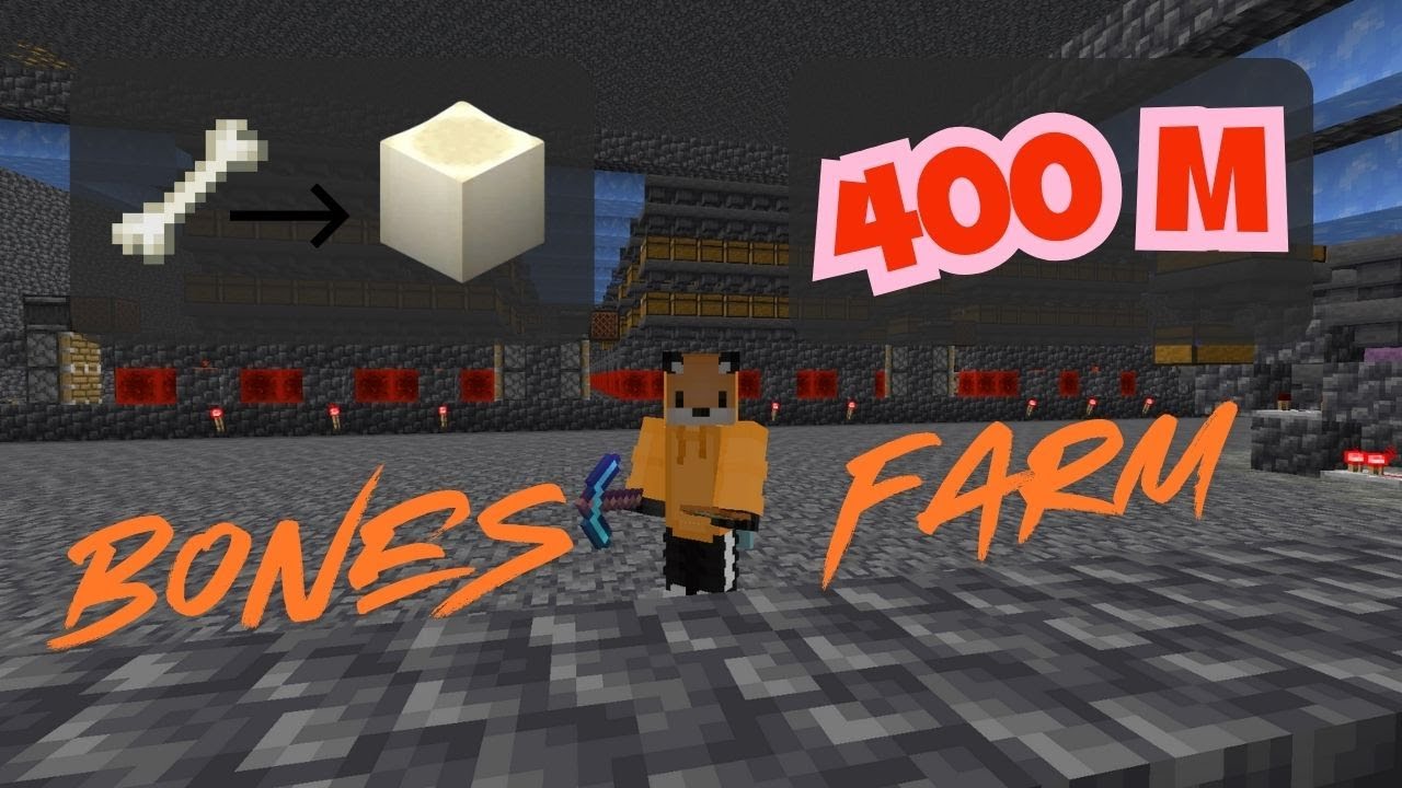 Donut SMP Sonunda Devasa Kemik Farm / ( Bölüm 11 )
