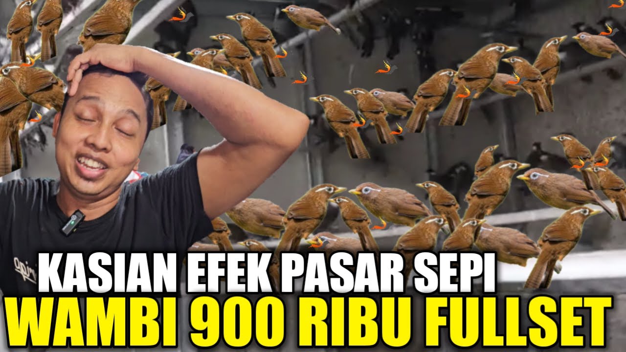 WAMBI 900 RIBU FULLSET ? CUMA KIOS LANGGENG JAYA YG NEKAD JUAL KAYA GINI BIAR KIOS RAME LAGI