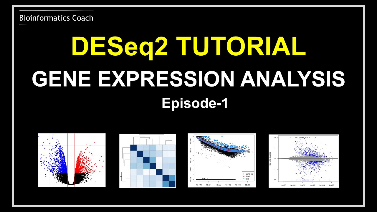 DESeq2 Tutorial | How I analyze RNA Seq Gene Expression data using DESeq2