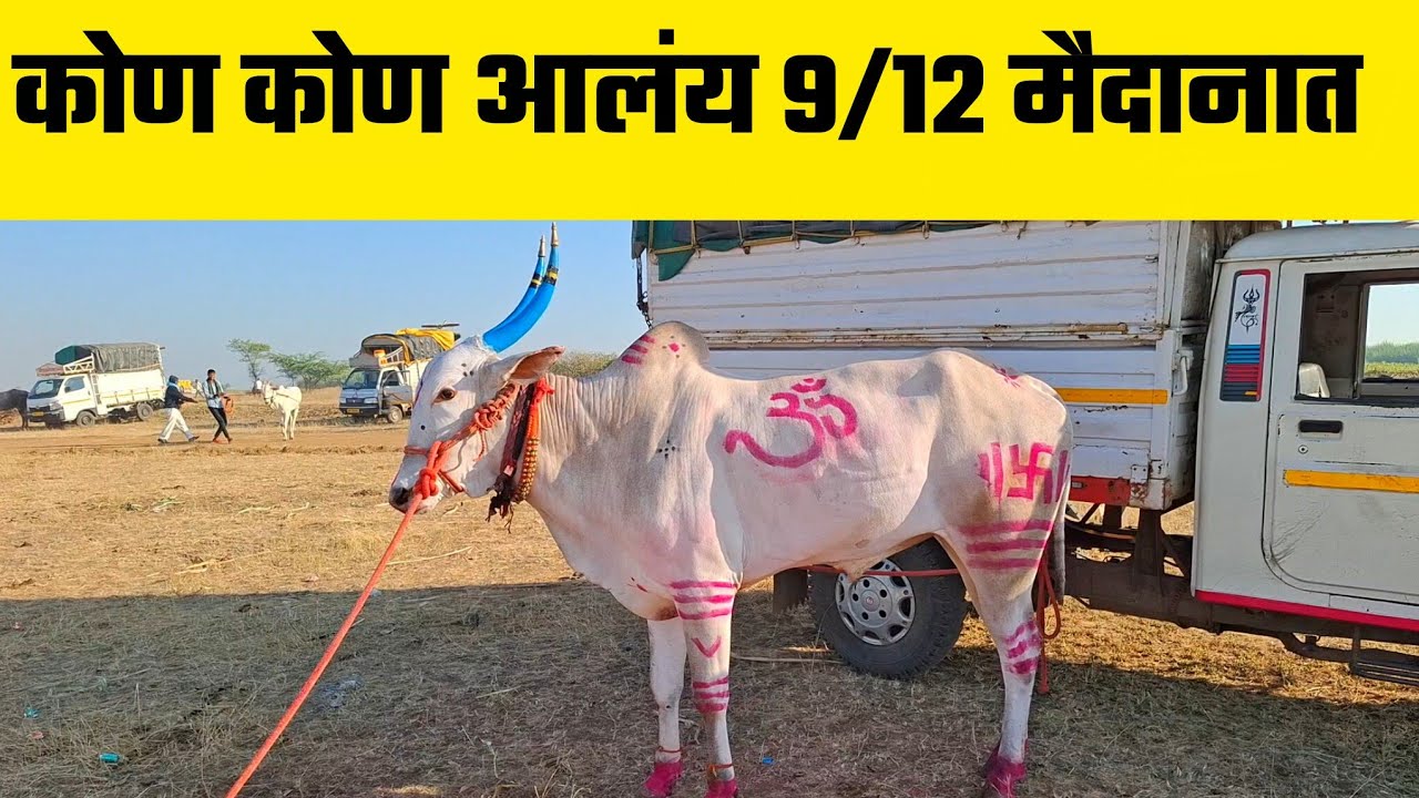  कोण कोण आलंय 9/12 मैदानात  