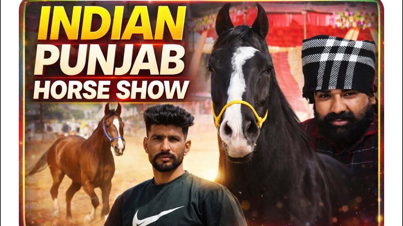 India(punjab)horse show2026
