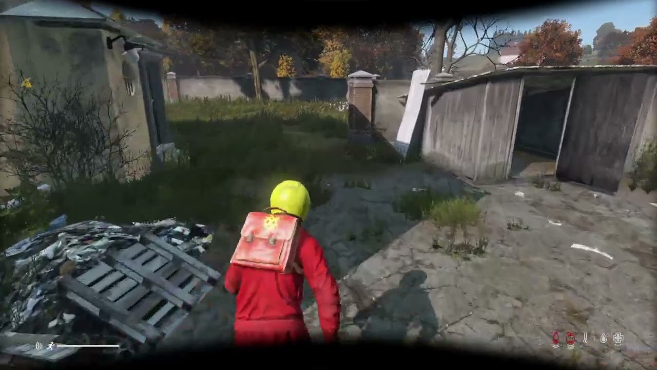 DayZ_20260216160354